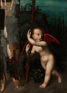 Cupido mirtusszal