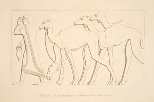 Egy női fogoly és teve, illusztráció a Ninivei emlékművekből, 1849 alkotó: Austen Henry Layard