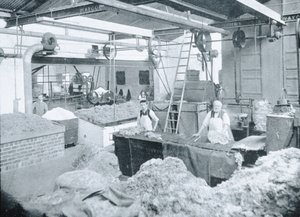 Interior of a Hat Mill, Victoria, 1900 körül, az 1908-ban megjelent „Déli kereszt alatt – Ausztrália pillantásai” alkotó: Australian Photographer