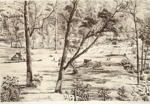 Free Selectors Hut, David Blair, McGrady, Thomson és Niven The History of Australasia című művéből, 1879 alkotó: Australian School