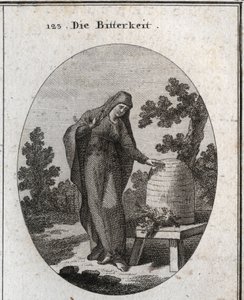 A keserűség allegóriája. Szomorúan néz egy abszint növényre, amely egy mézkaptárban csírázott. Gravírozás "" ikonológiába, vagy a szenvedélyek és allegóriák területéről ábrázolt ötletek rajzolók, festők, költők, tudósok, oktatók és f alkotó: Austrian School