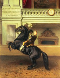 Rudolf osztrák koronaherceg (1858-89) lóháton a Hofburg Téli Lovardájában, Bécsben, 1870 alkotó: Austrian School