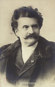 Johann Strauss portréja II alkotó: Austrian School