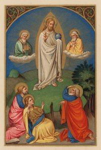 Transfiguratio D N J Chr (chromolitho) alkotó: Austrian School