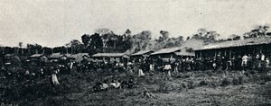 Fazenda Arindiuba olasz gyarmat, 1895