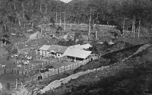 A Teremtés Farmja Campos do Jordao, Teremtés Farm, 1895