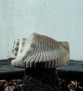 Tengeri csigaház, 1500 körül (lásd még: 198376 és 207560) alkotó: Aztec