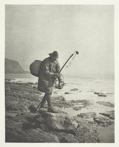 Garnélarák alkotó: B. Gay Wilkinson