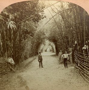 A Mardyke, Cork, Írország.
