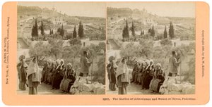 A Gecsemáné kertje és az Olajfák hegye, Palesztina, 1898.