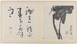Virágok, madarak, rovarok és halak albumának oldalai, Qing-dinasztia, 1688-89 (tinta papíron)