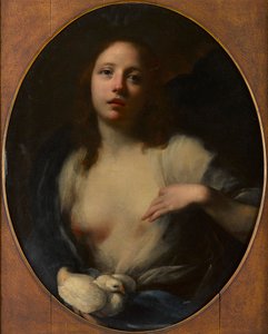 Egy fiatal lány festménye fehér galambbal (olaj, vászon) alkotó: Baldassare (1611 89) Franceschini