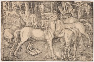 Hét ló csoportja, 1534. alkotó: Baldung