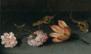 Szegfű, papagáj tulipán, szöcske és gyík a párkányon alkotó: Balthasar van der Ast