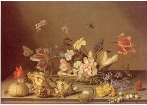 Virágok és kagylók csendélete alkotó: Balthasar van der Ast