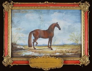 2. sz. Alzan de Tunis, a Spanyol Lovasiskola barbár lova (wc papíron)