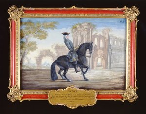 52. sz. Le Bienvenu, a Spanyol Lovasiskola sötét öblös lova, aki díjlovas mozgást végez (wc papíron)