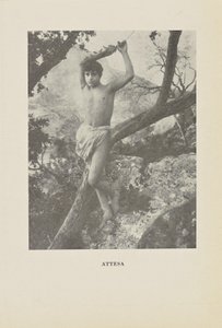 Várakozás alkotó: Baron Wilhelm von Gloeden