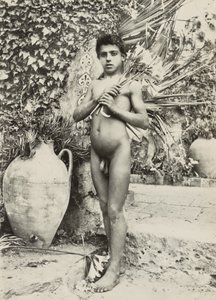 [Fiú a kertben] alkotó: Baron Wilhelm von Gloeden