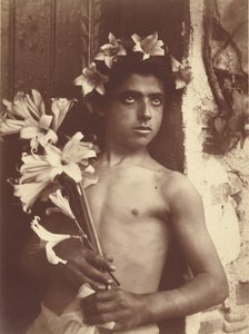 [Fiú liliomokkal] alkotó: Baron Wilhelm von Gloeden