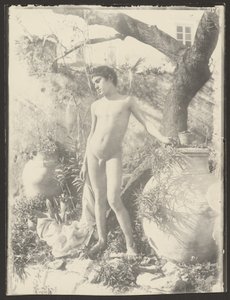 [Meztelen fiatalok a kertben] alkotó: Baron Wilhelm von Gloeden