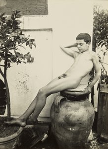 [Meztelen fiatal a kertben] alkotó: Baron Wilhelm von Gloeden