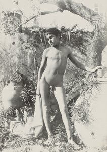 [Meztelen fiatal a kertben] alkotó: Baron Wilhelm von Gloeden
