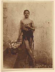 [Ifjúság liliomokkal] alkotó: Baron Wilhelm von Gloeden