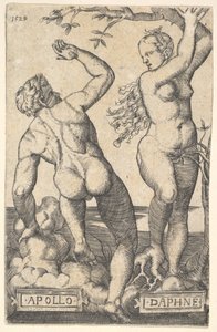 Apollo és Daphne fordított másolat.n.d.