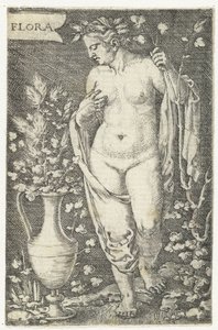 Flora (title on object)   1359978   hu       hungarian Successfully Translated  Original: Appley Towers grape. Illustration by A. Kreyder., Pessione, from Traite General de Viticulture. Ampelographie Translat: Appley Towers grape. Illustration by A. Kreyde alkotó: Barthel Beham