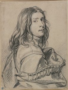 Paulus Potter művész portréja