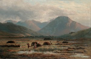 Tőzegláp, Letterfrack, Connemara alkotó: Bartholomew Colles Watkins