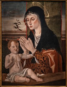 Madonna a kis Jézussal alkotó: Bartolomeo Montagna