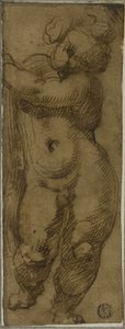 Álló puttó elölről nézve: Tanulmány a Szűz dicsőségében Szent Petronius, Domonkos és Péter vértanúval alkotó: Bartolomeo Passarotti