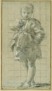 Egy fiatal fiú áll (fekete kréta a carta azzurrán)