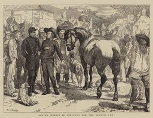 Lovak vásárlása Bretagne-ban a francia hadsereg számára alkotó: Basil Bradley