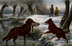 Vadkacsa vadászat alkotó: Basil Bradley