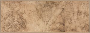 Torzók bordaketrecekkel, 1540-es évek eleje. alkotó: Battista Franco