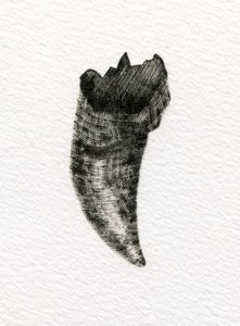 Macskafog, 2014, (fametszet papíron) alkotó: Bella Larsson