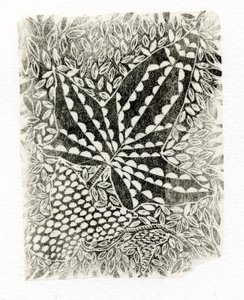 Ivy, 2014, (fametszet papíron) alkotó: Bella Larsson