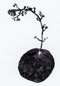 Lichen Leaf, 2014 (Fametszet, kollázs papíron) alkotó: Bella Larsson