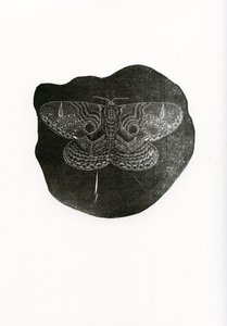 Éjszakai pillangó, 2016, (fametszet papíron)