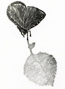 Suspense, 2014 (Fametszet, kollázs papíron)