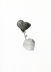 Suspense, 2014 (fametszet papírra)