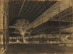 Crystal Palace, Hyde Park, Transept, 1852.