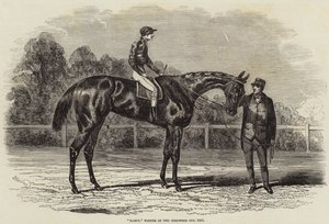 Nancy, a Goodwood-kupa győztese, 1851