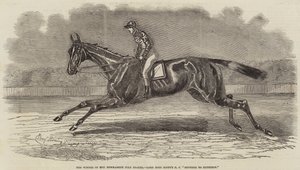 A Newmarket júliusi tét győztese, Lord John Scott BC testvére Elthironnak alkotó: Benjamin Herring