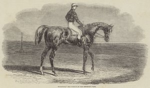 Woolwich, a császári váza nyertese alkotó: Benjamin Herring