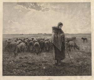 A juhakol alkotó: Benjamin Louis Auguste Damman