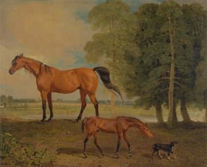Broodmare csikóval és egy terrierrel